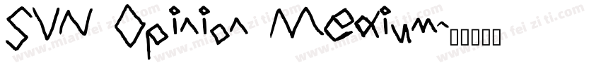SVN Opinion Medium字体转换